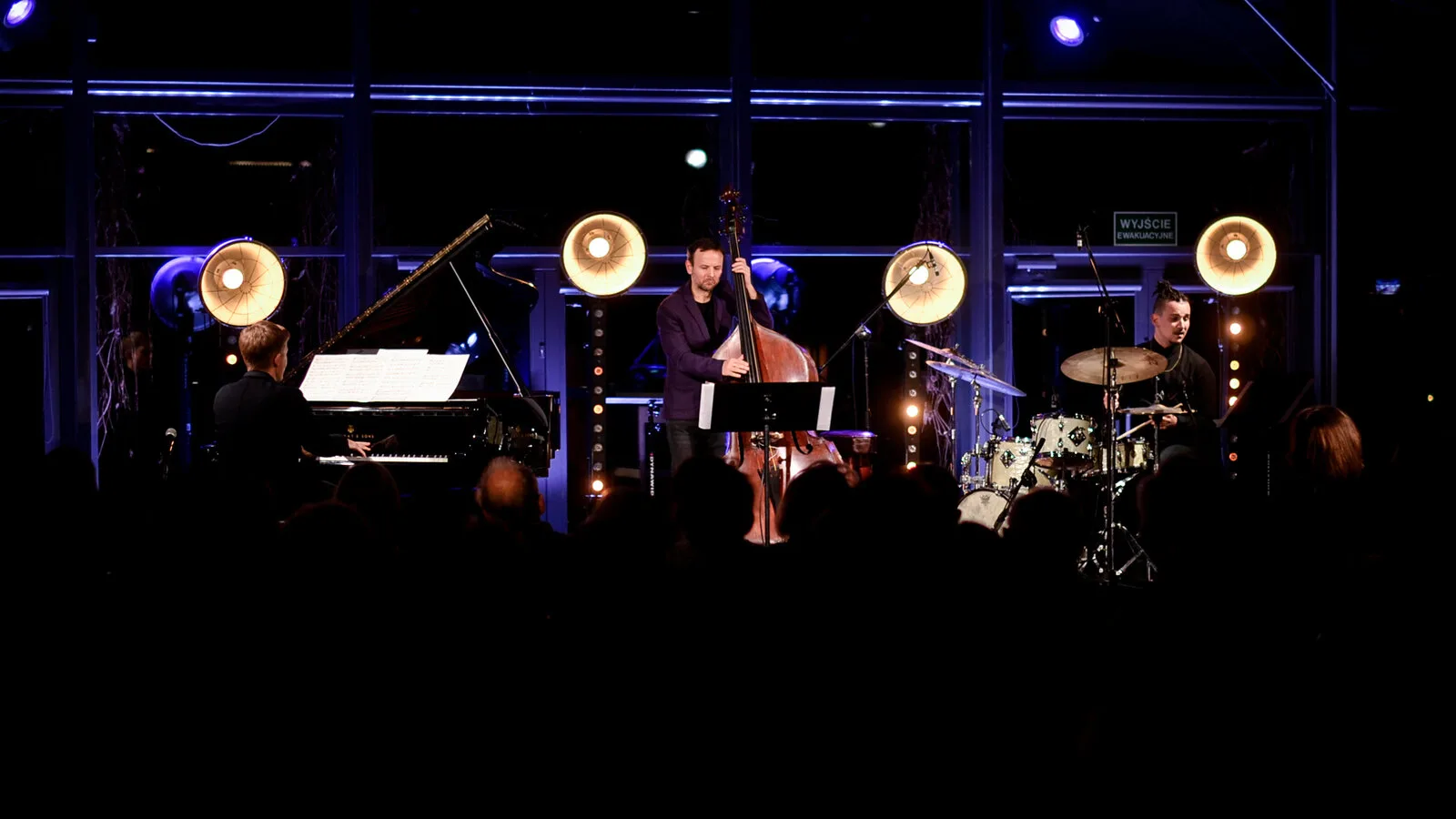 Piotr Wyleżoł - koncert Pałac Radziejowice