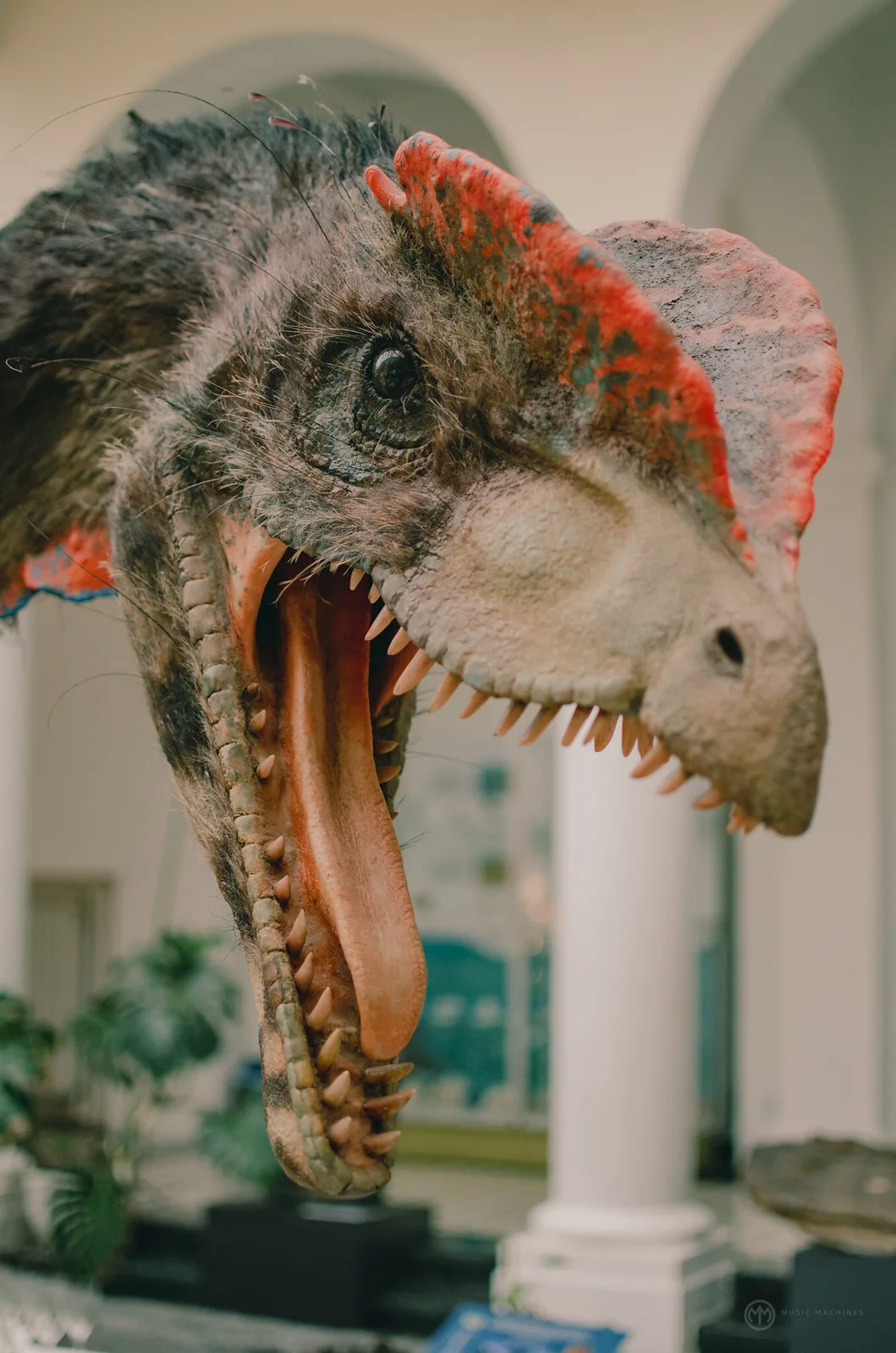 Muzeum Geologiczne w Warszawie - otwarcie wystawy