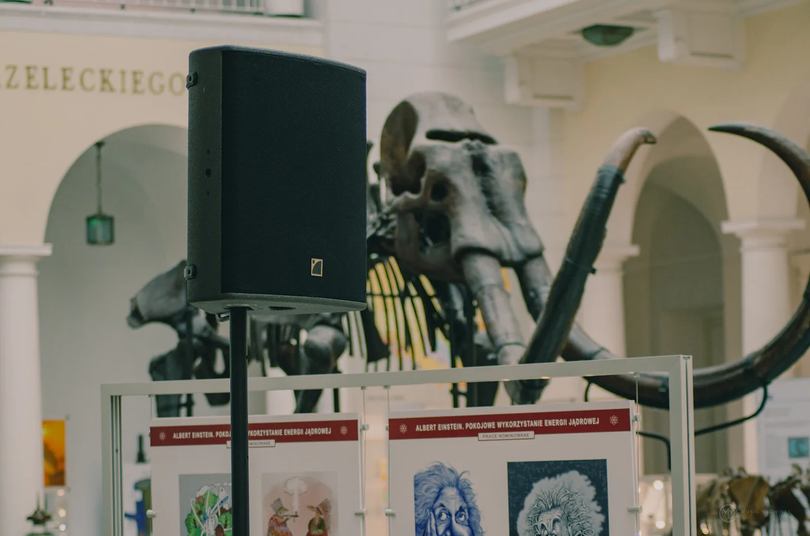 Muzeum Geologiczne w Warszawie - otwarcie wystawy