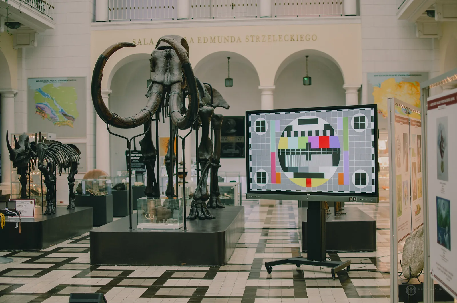 Muzeum Geologiczne w Warszawie - otwarcie wystawy