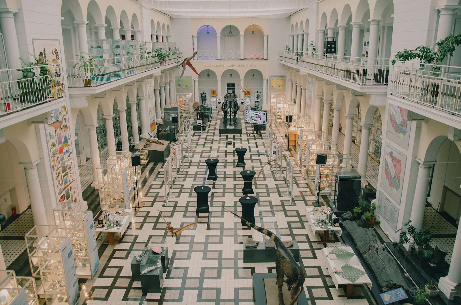 Muzeum Geologiczne w Warszawie - otwarcie wystawy