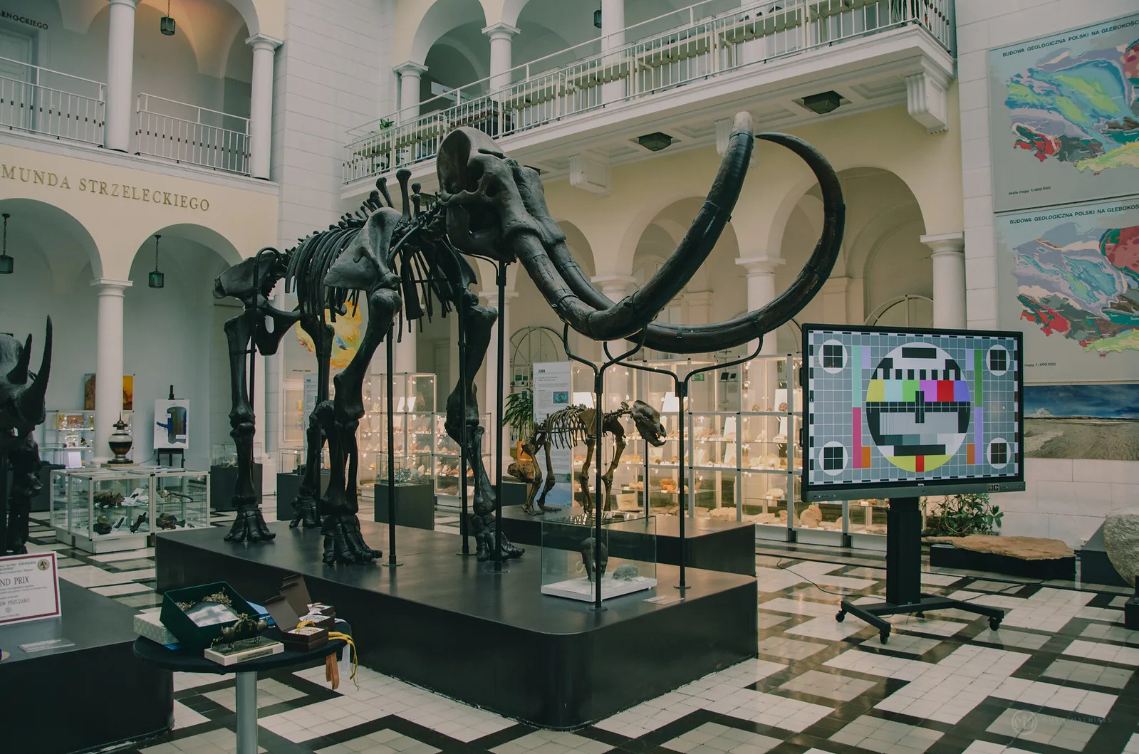 Muzeum Geologiczne w Warszawie - otwarcie wystawy