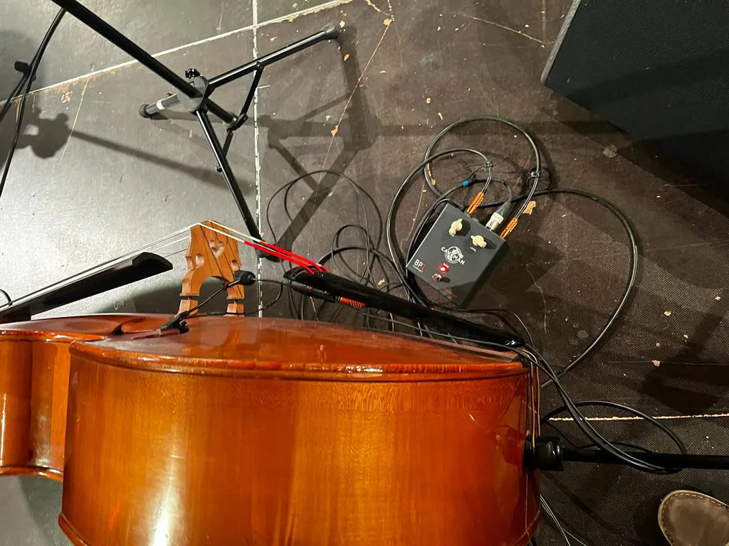 IV Radziejowickie Wieczory Jazzowe